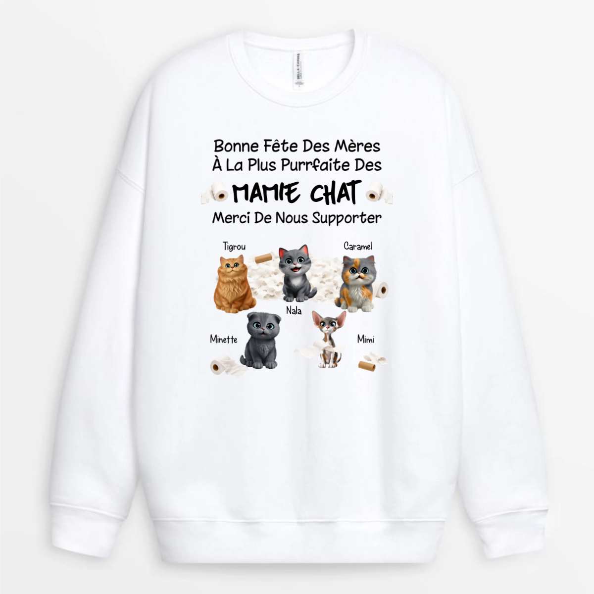 Papa_Chat_Parfait_et_Sa_Bande_de_Petits_Filous_4