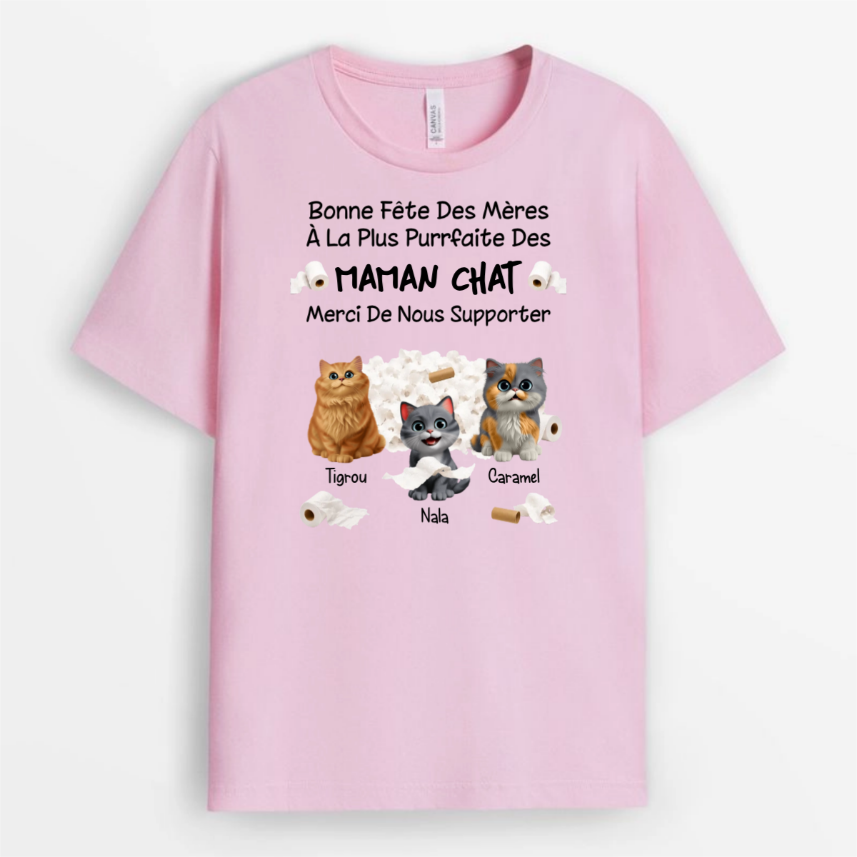 Papa_Chat_Parfait_et_Sa_Bande_de_Petits_Filous_2