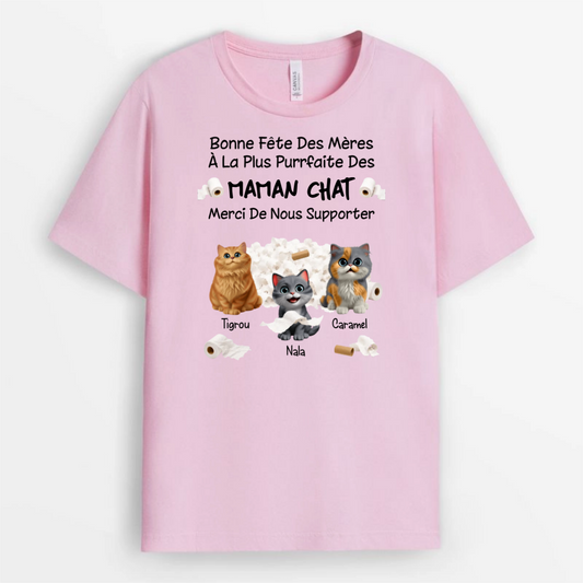 Papa_Chat_Parfait_et_Sa_Bande_de_Petits_Filous_2