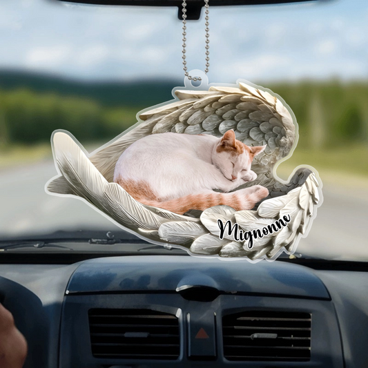 PhotoCommemorativeD_AnimalAvecAilesD_Ange_OrnementDeVoiturePersonnalise2